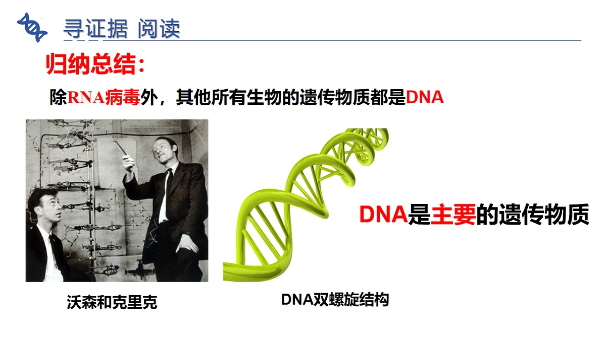 17721817第5页