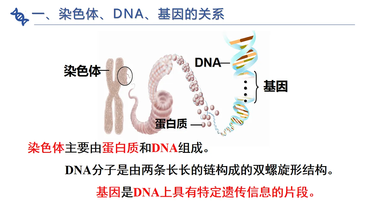 17721817第6页