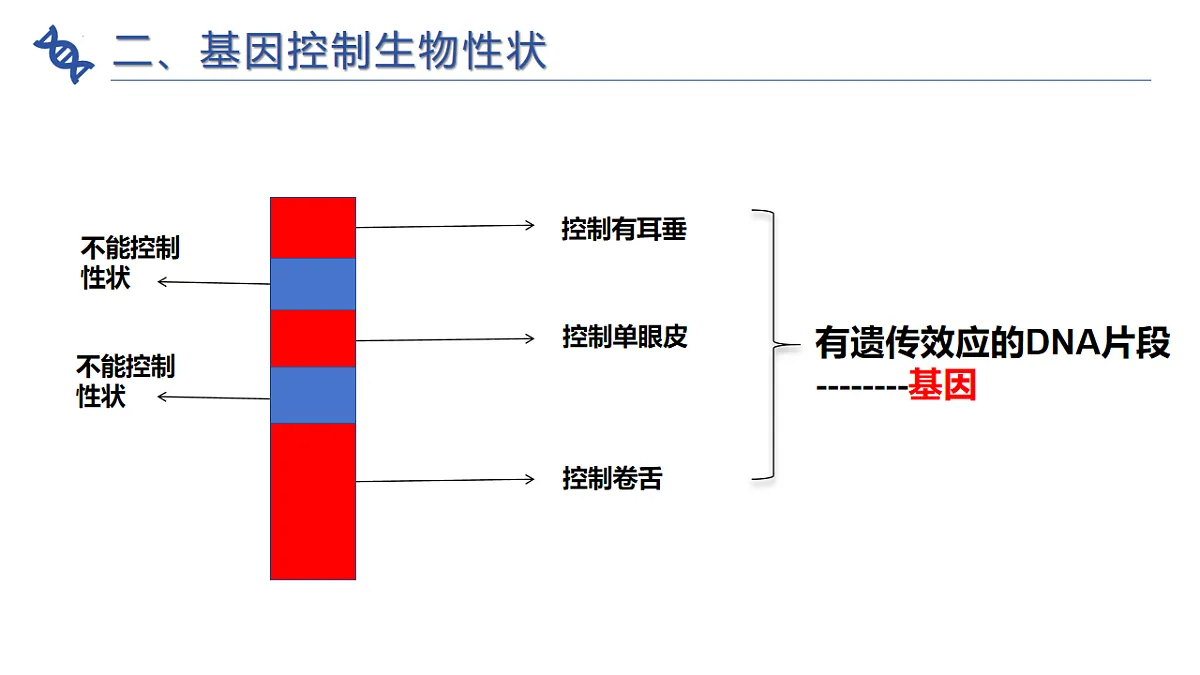 17721817第7页
