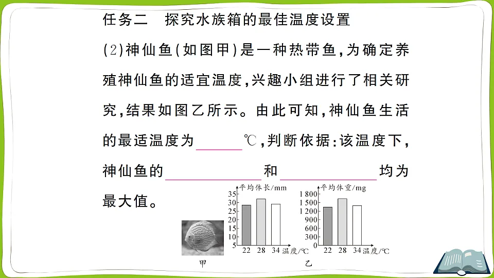 17722284第6页