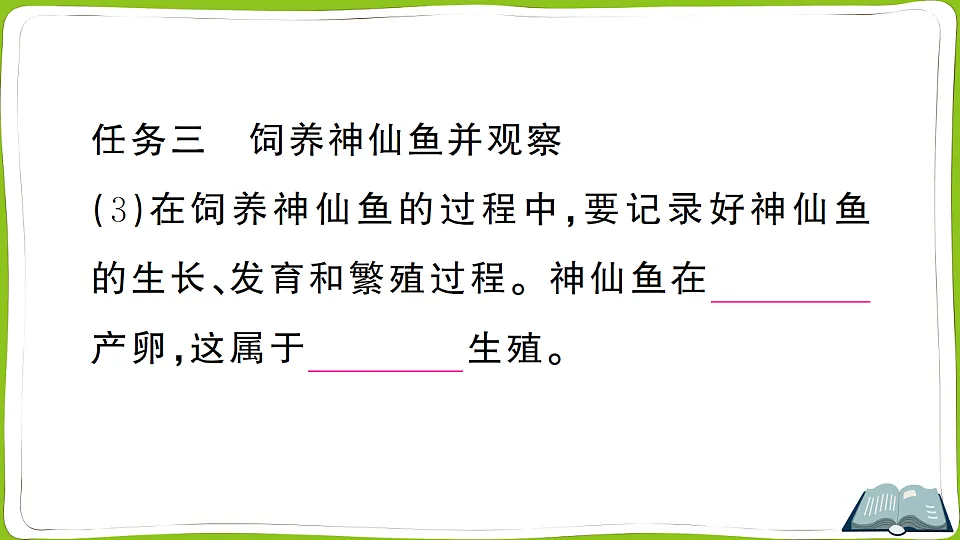 17722284第7页
