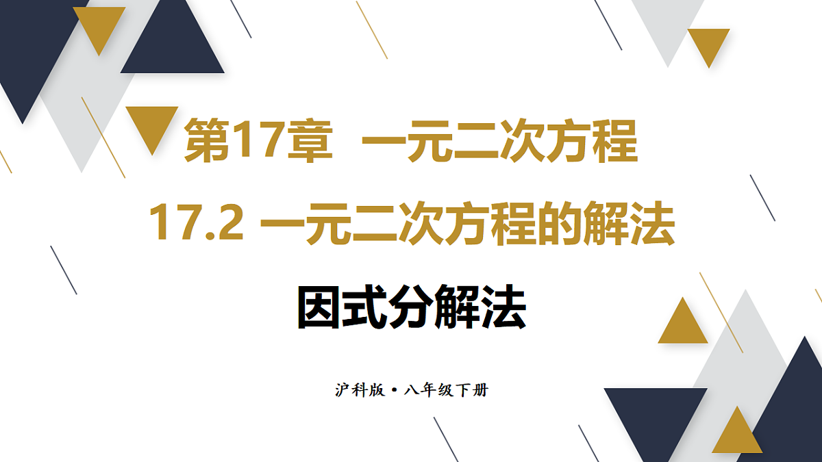 17723010第1页