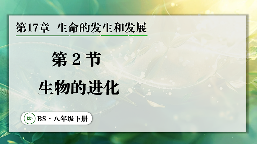 17723392第1页