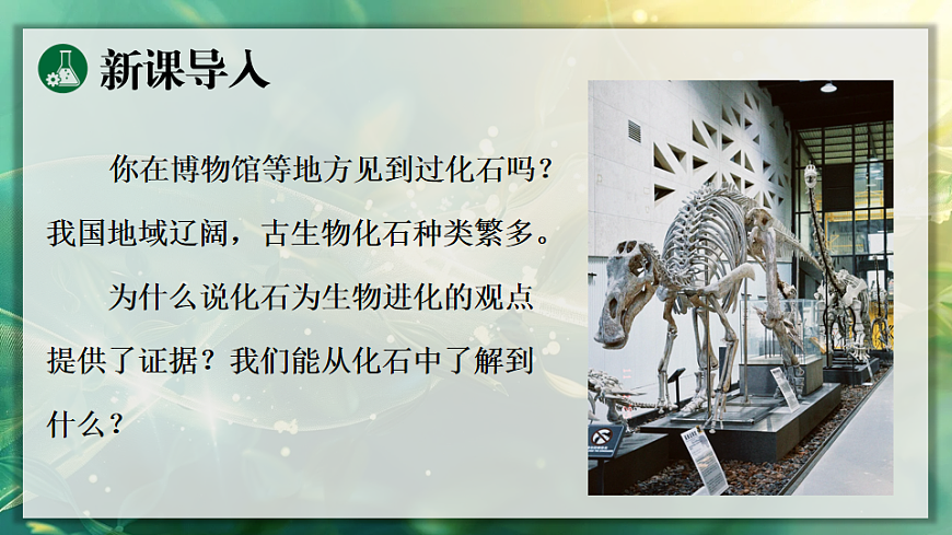 17723392第3页