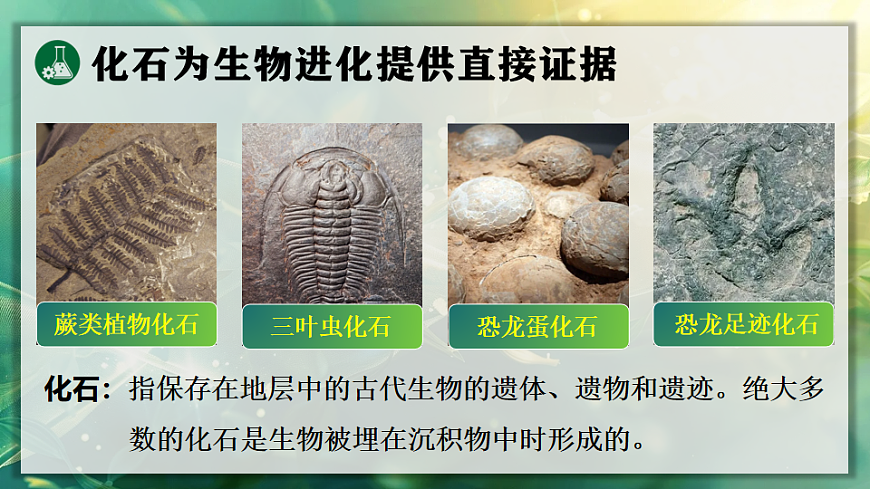 17723392第4页