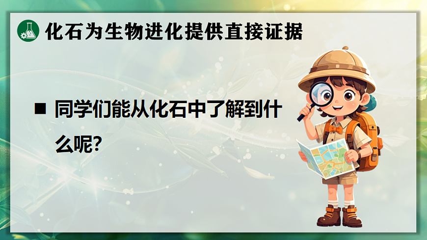 17723392第6页