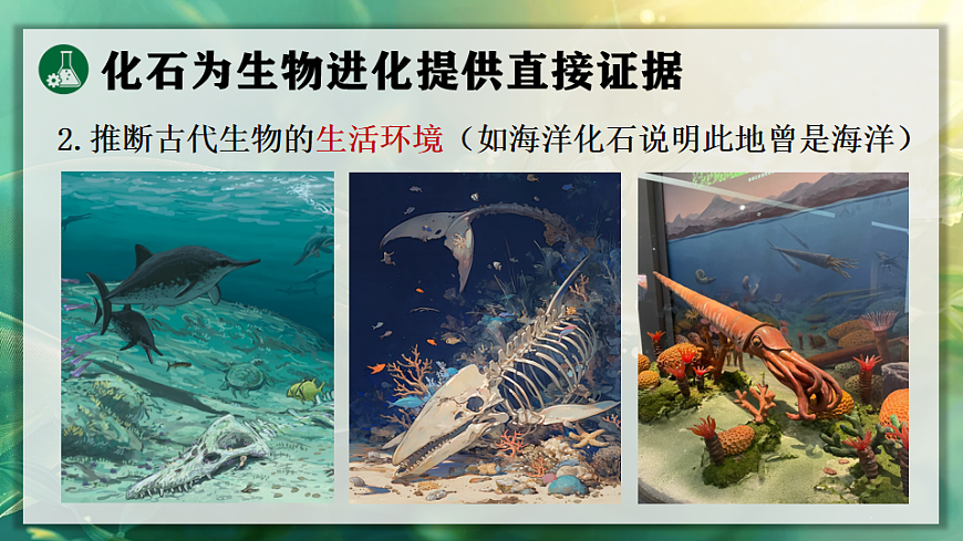 17723392第8页