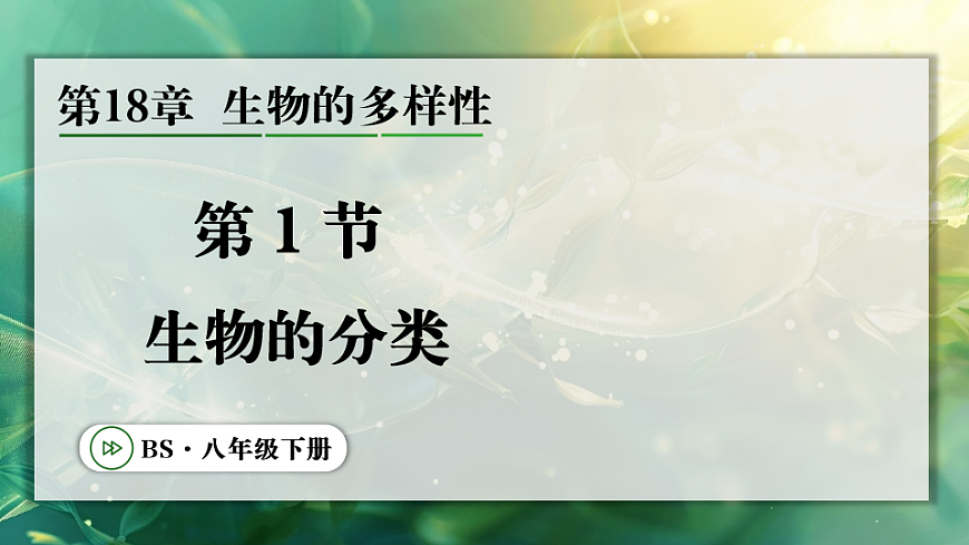17723393第1页