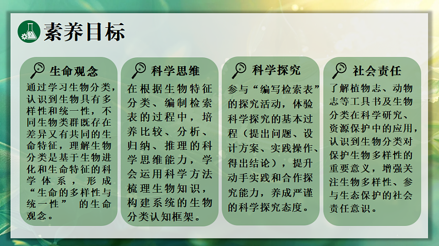 17723393第2页