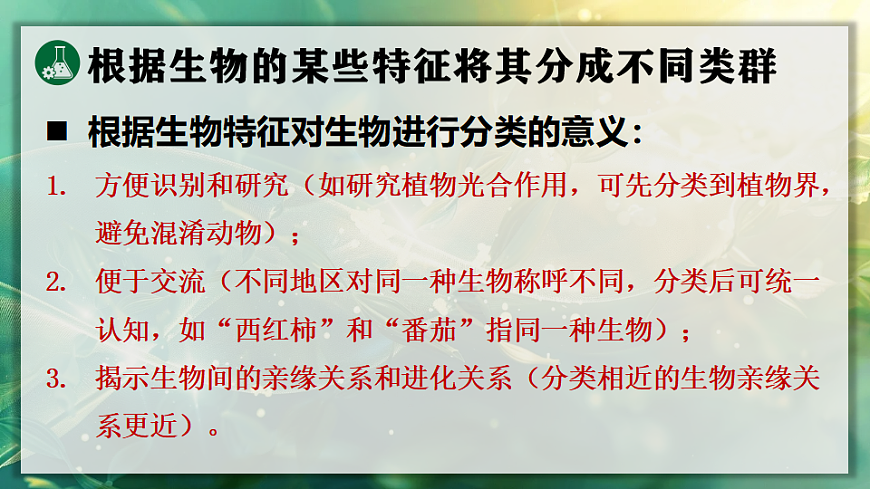 17723393第5页