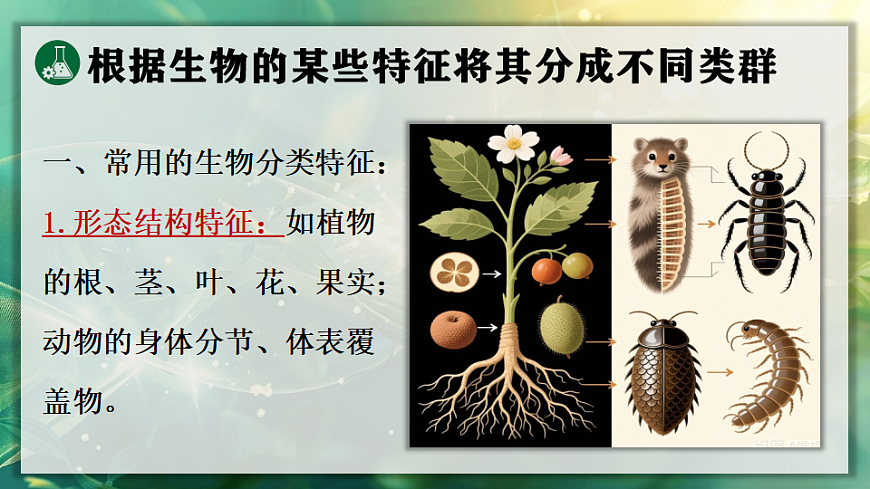 17723393第6页
