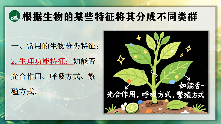 17723393第7页
