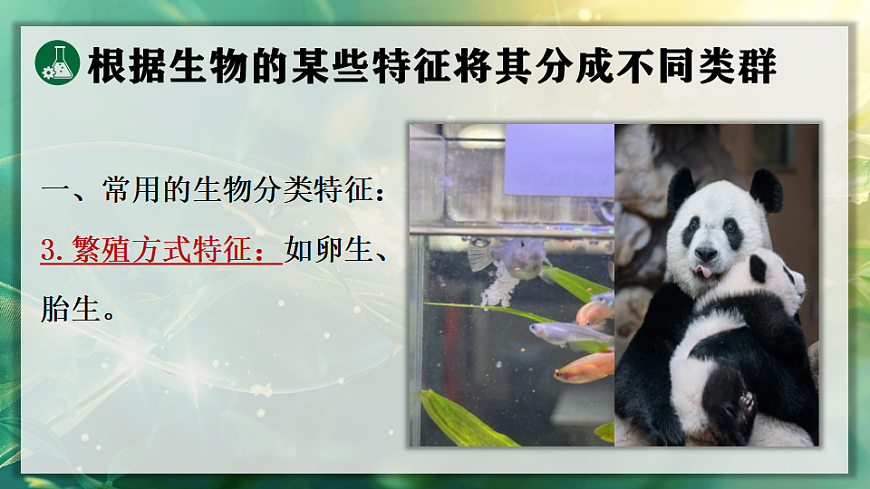 17723393第8页