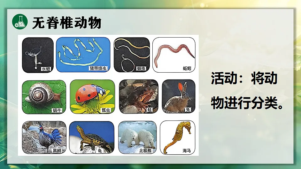 17723396第4页