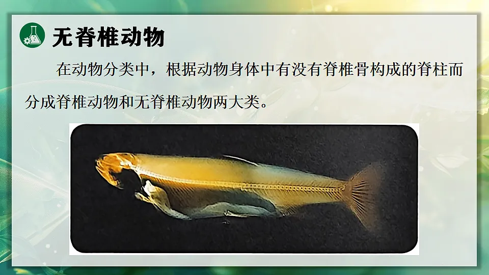 17723396第5页