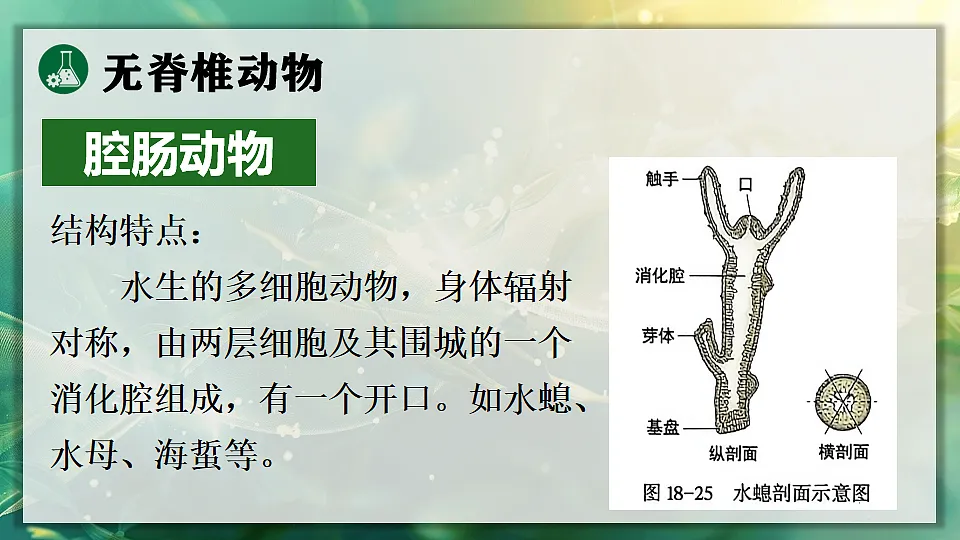 17723396第7页