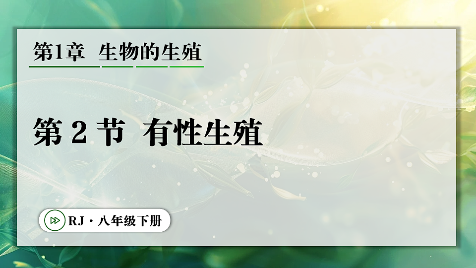 17723398第1页