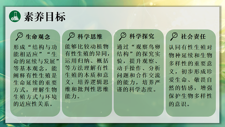 17723398第2页