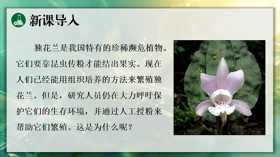 17723398第3页