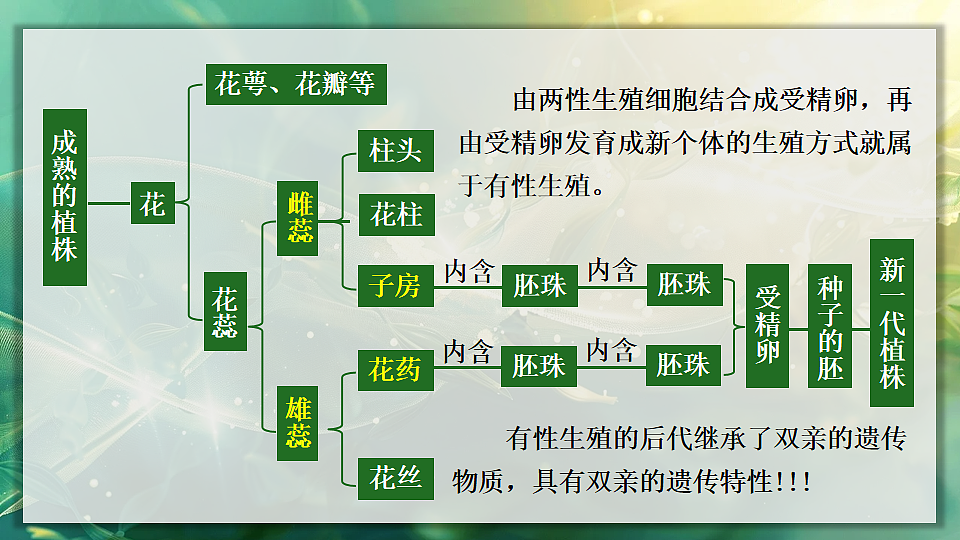 17723398第5页