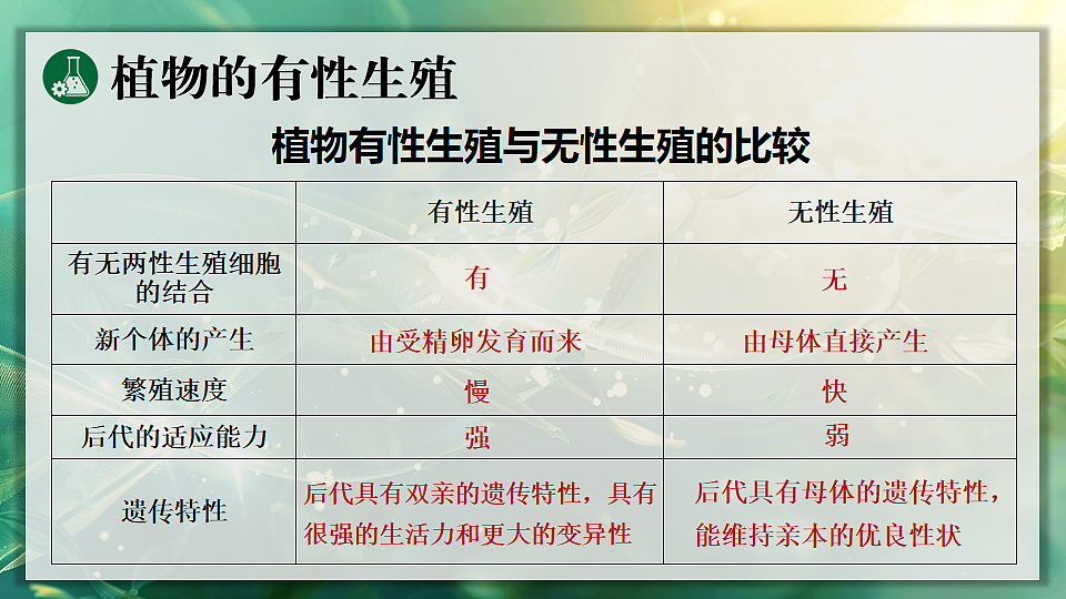 17723398第6页