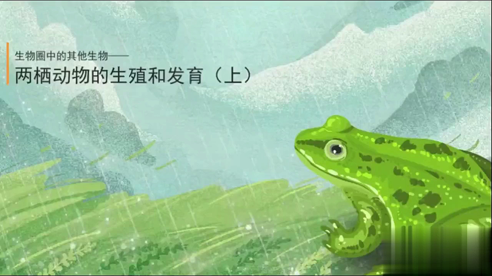 17723398第7页