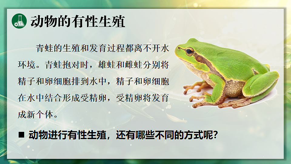 17723398第8页