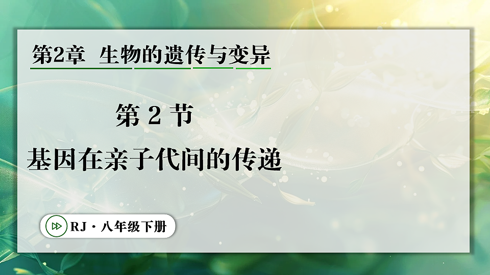 17723400第1页