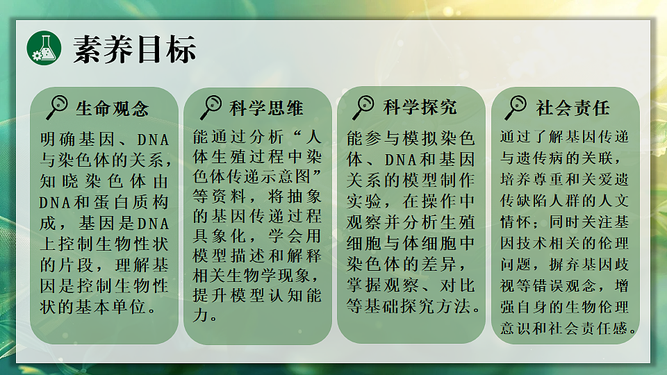 17723400第2页