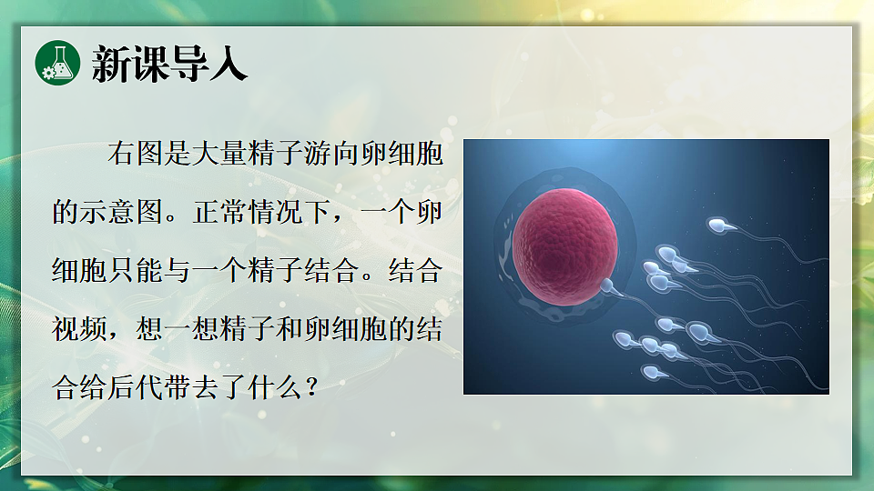 17723400第3页