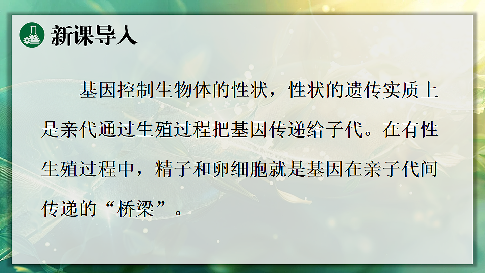 17723400第5页