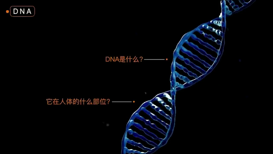 17723400第6页