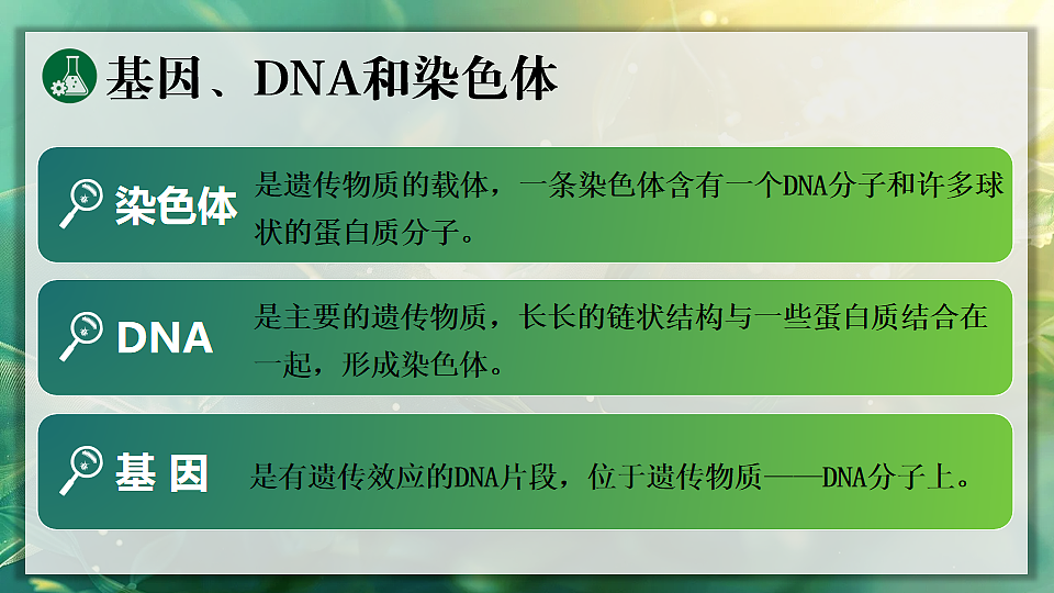 17723400第7页