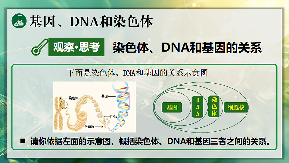 17723400第8页