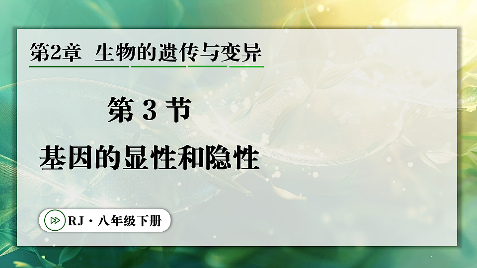 17723401第1页