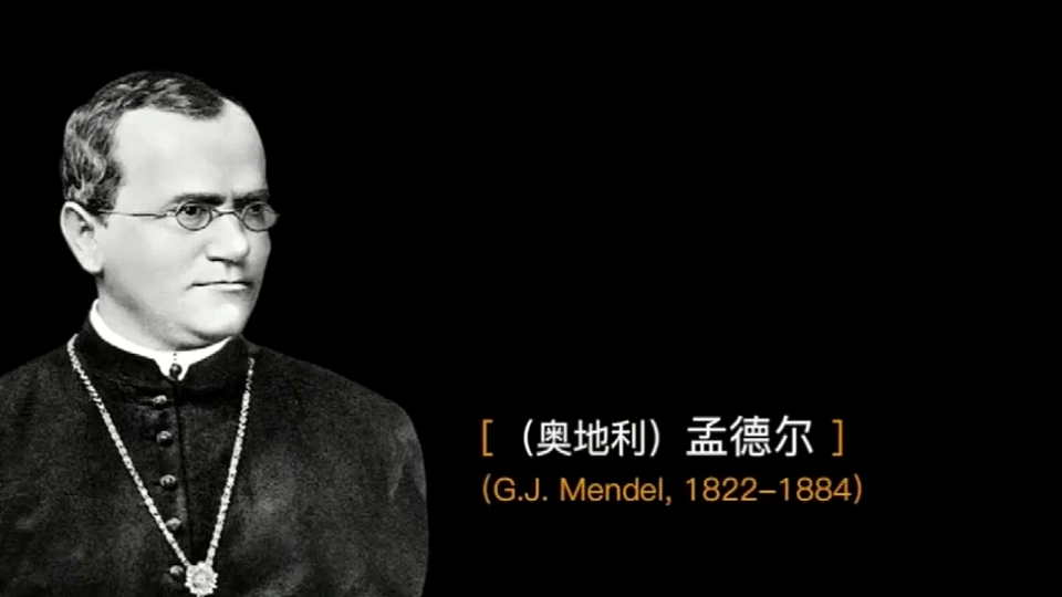17723401第4页