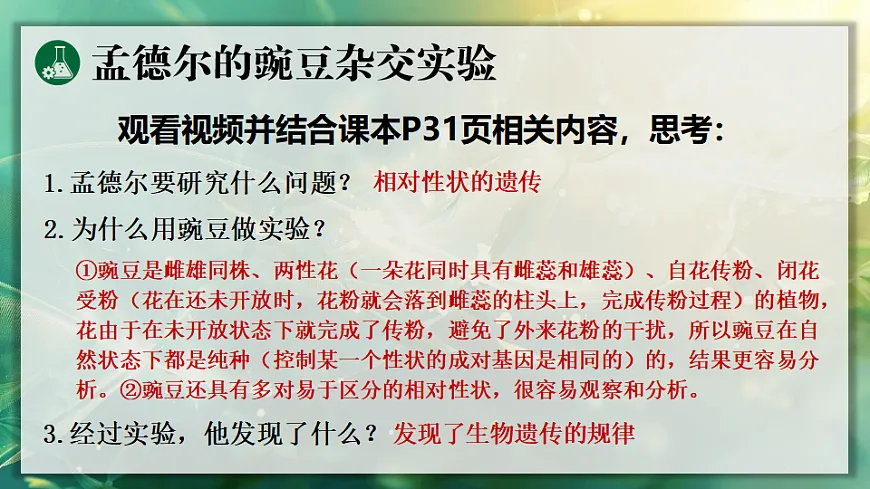 17723401第5页