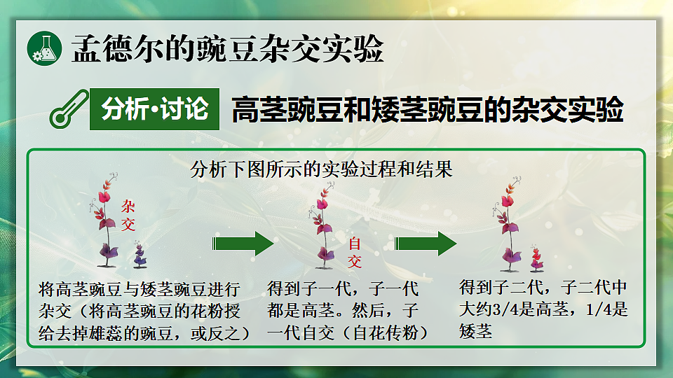 17723401第6页