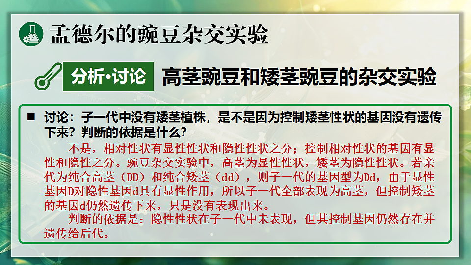 17723401第7页