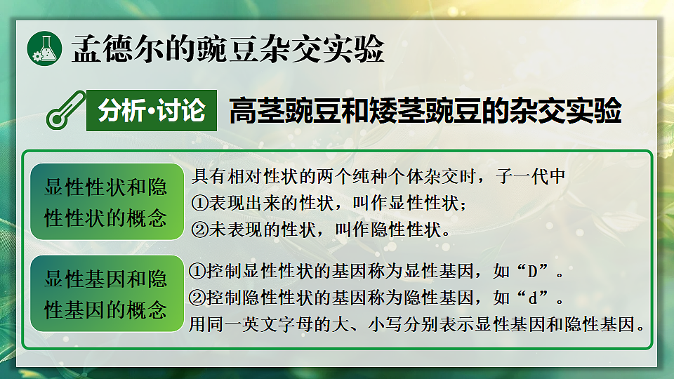 17723401第8页