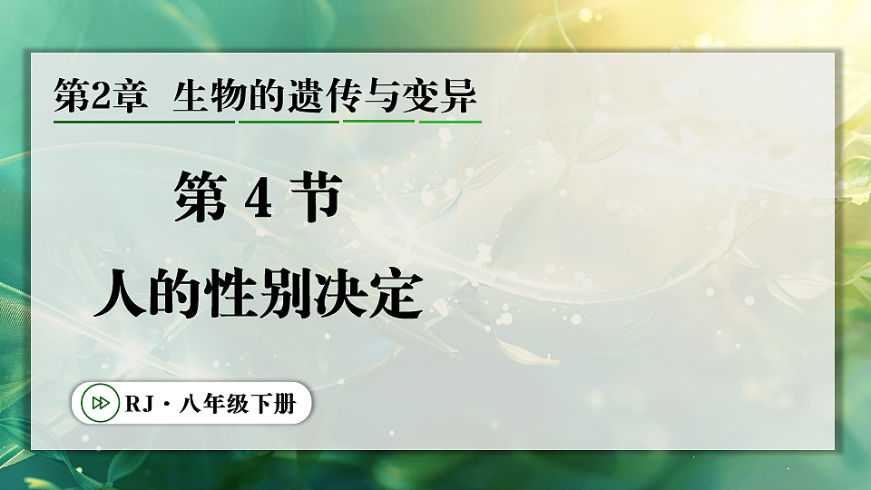 17723402第1页