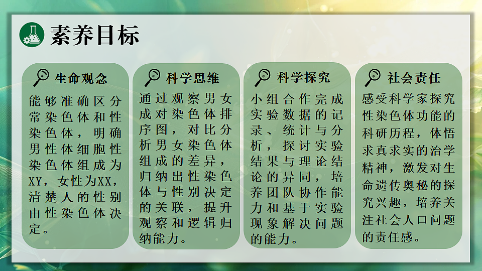 17723402第2页