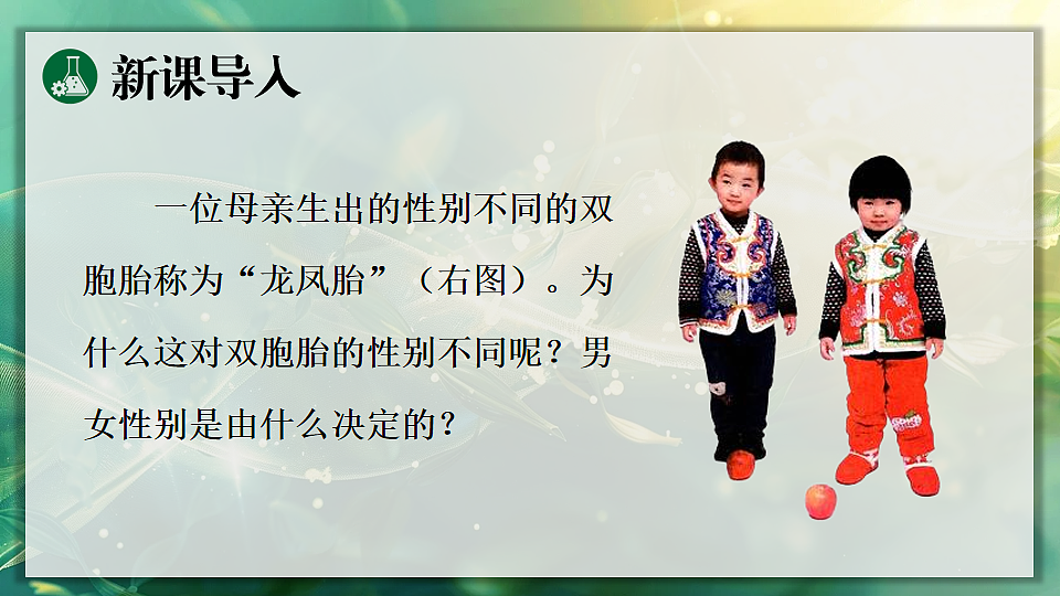 17723402第3页