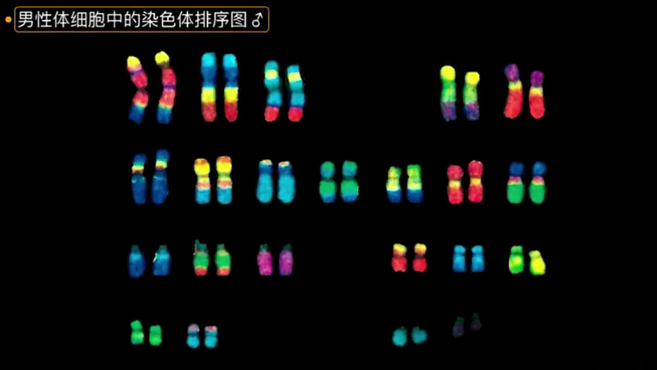 17723402第4页