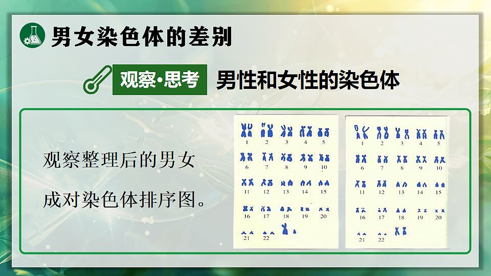 17723402第5页