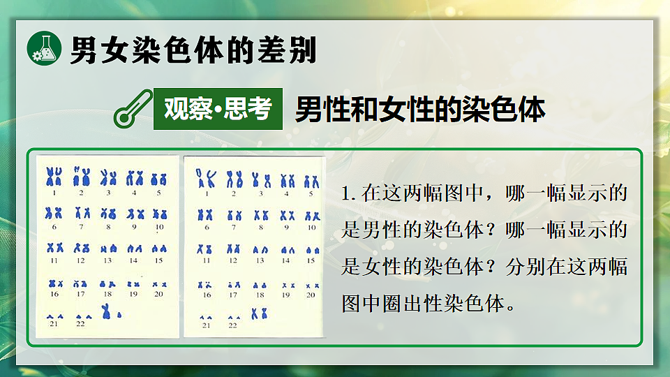 17723402第6页