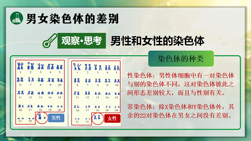 17723402第7页