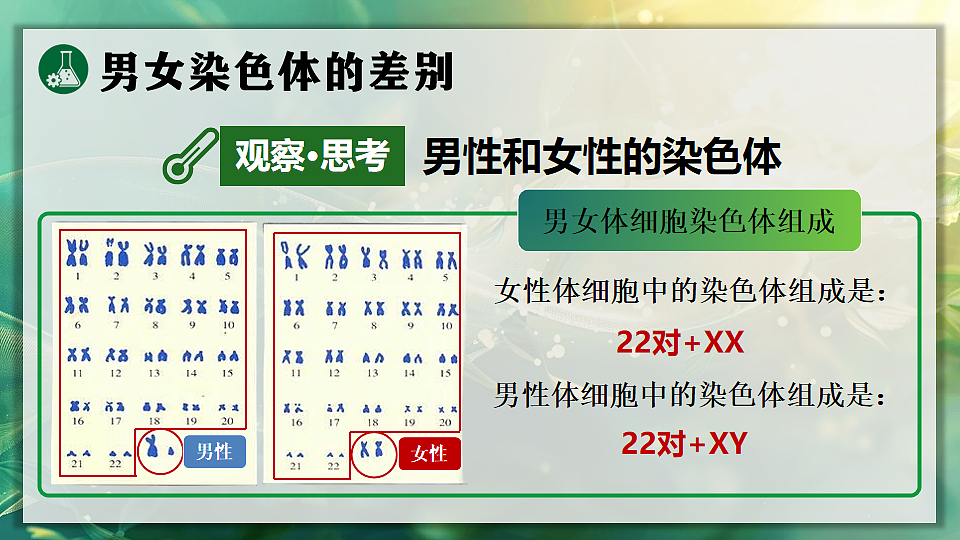 17723402第8页