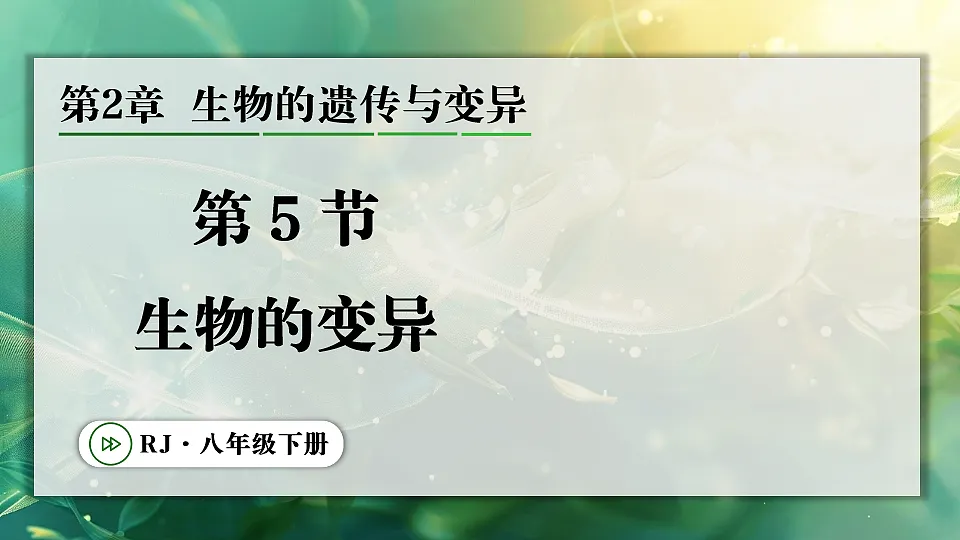 17723403第1页