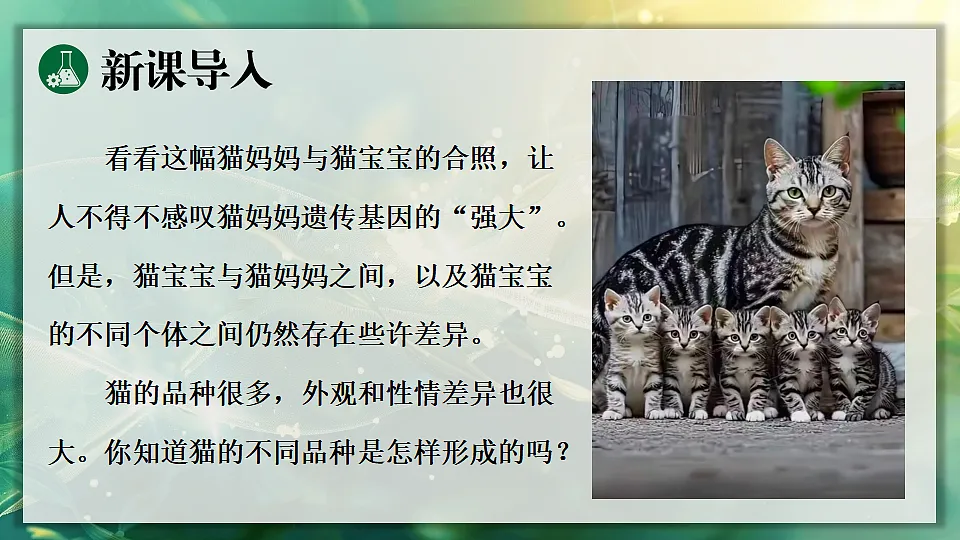 17723403第3页